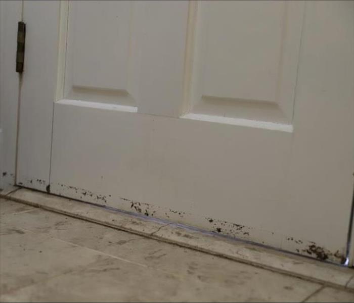 Close up of the bottom of a door and the base boards where a water stain is visible form a flash flood.
