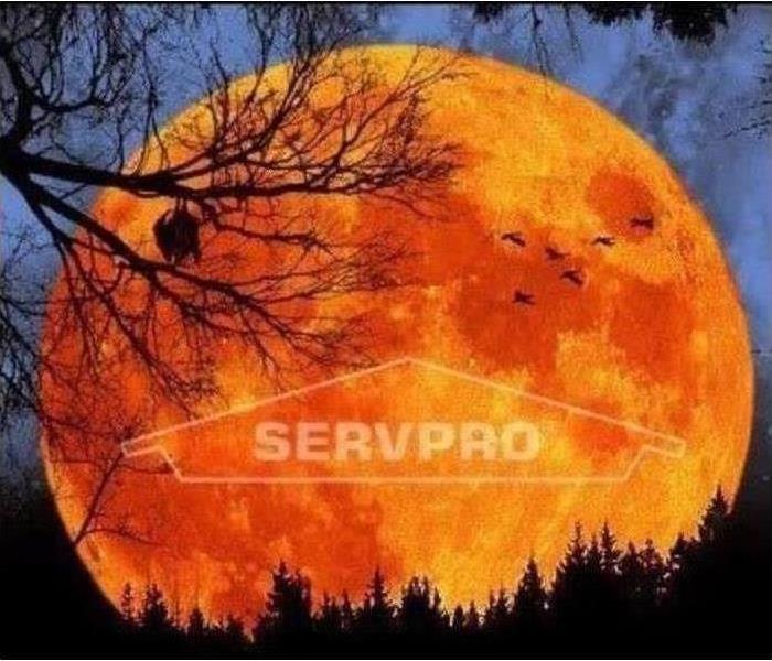 Harvest moon with a SERVPRO logo on it.