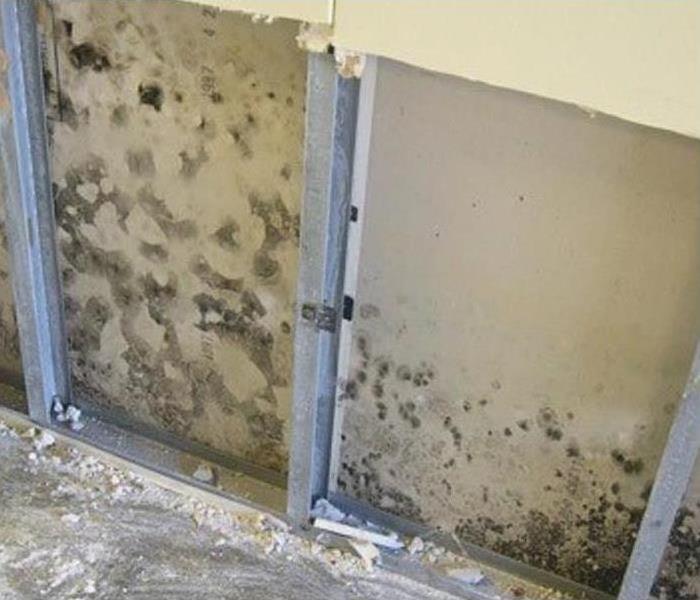 Dry wall that has been cut out to reveal the dark looking mold growing inside the wall