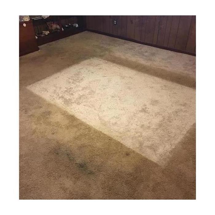 Picture of a dirty carpet. Furniture removed from the carpet shows the difference in color due to filth. 