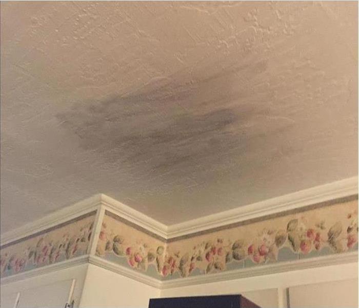 A dark spot on the ceiling that indicates a water spot from water damage.